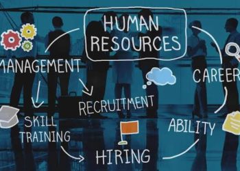 Macam-Macam Pegawai MSDM Sektor Publik