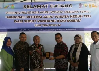 PTPN IV dan FISIP UMSU kerja sama pengembangan wisata perkebunan teh Sidamanik